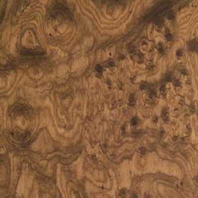 23aa451c49a835d4730105e7436c0858