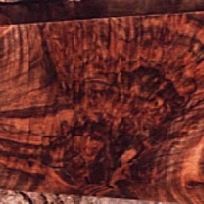 2fdcb42cef6671aee52a05dddb62b4cb