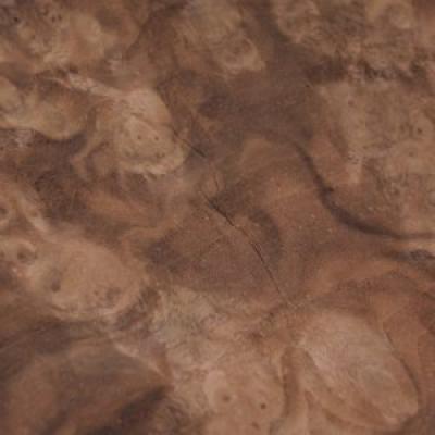 7bf888bf702b58575333d6e69061dd9e